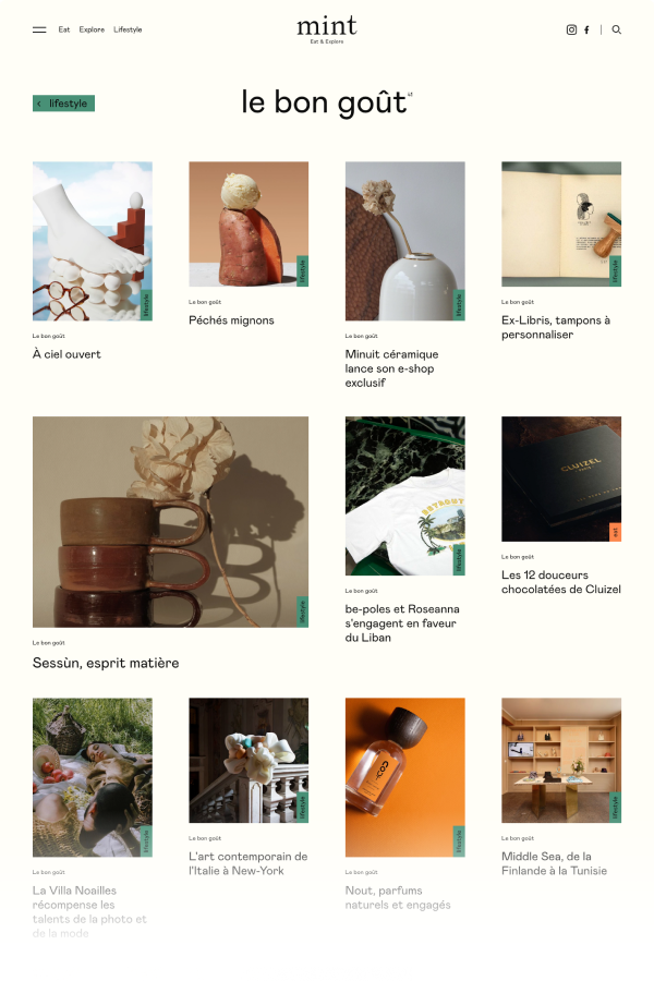Mint desktop view 1