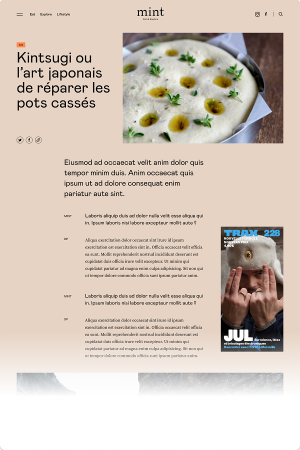 Mint desktop view 2