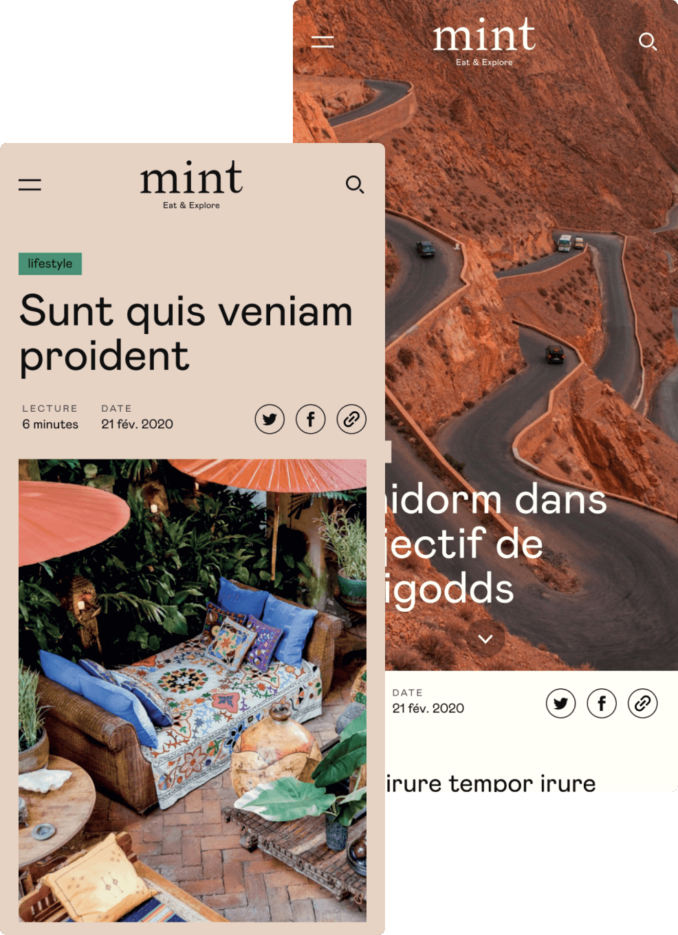 Mint Magazine mobile duo